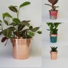 Handmade Solid Copper Plant Pots