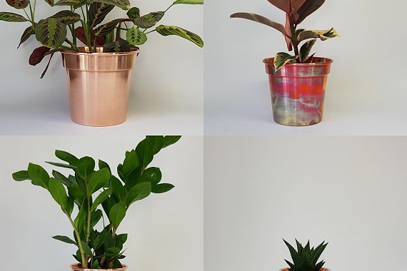 Handmade Plant Pots