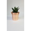 Set Of Three Handmade Solid Copper 4 Inch Plant Pots