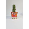 Set Of Three Handmade Solid Copper 4 Inch Plant Pots