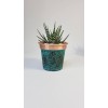 Set Of Three Handmade Solid Copper 4 Inch Plant Pots