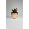 Set Of Three Handmade Solid Copper Round Bottom Plant Pots 