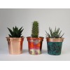 Handmade Solid Copper Plant Pots