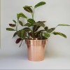 Handmade Solid Copper Plant Pots