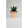 Handmade Solid Copper Plant Pots